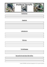 Bartaffe-Steckbriefvorlage.pdf